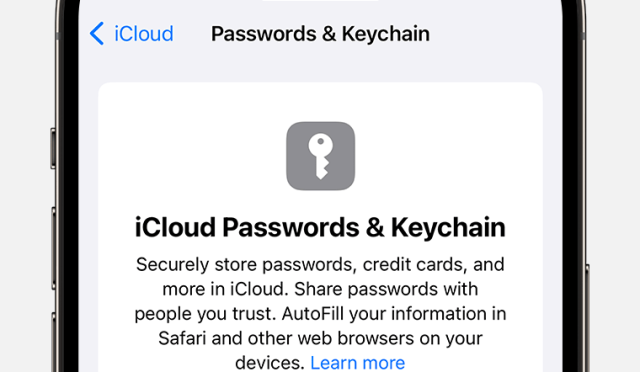 ios-17-iphone-14-pro-settings-apple-id-icloud-passwords-keychain
